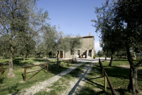 Foto von Bio-Ferienhaus/Maremma