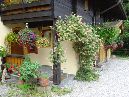 Foto von Ferienwohnung/Berchtesgadener Land