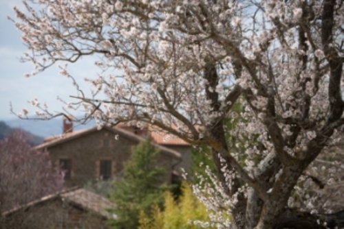 Foto von Bio-Gasthaus/Perugia und Umgebung