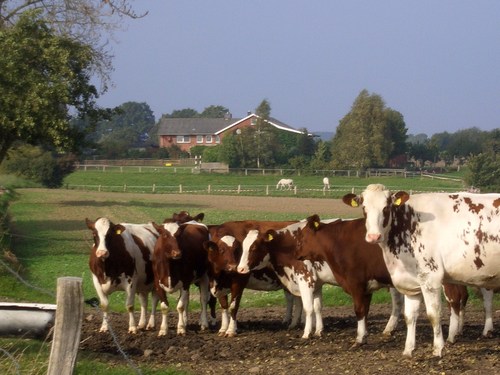 Foto von Bio-Bauernhof/Eckernförder Bucht