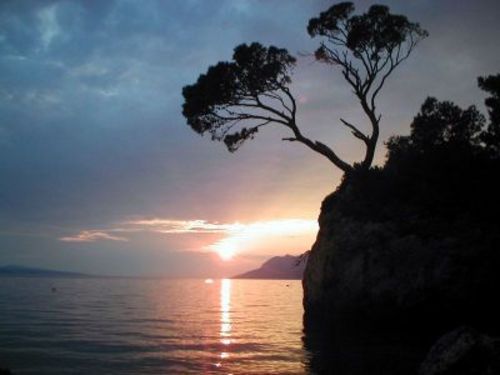 Foto von Ferienwohnung/Makarska Riviera