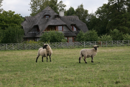 Foto von Bio-Feriendorf/Saaremaa