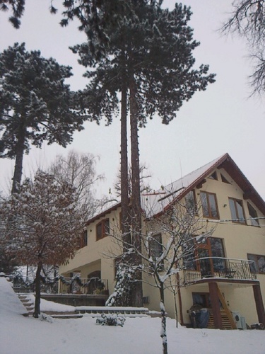 Foto von Bio-Pension/Brasov und Umgebung