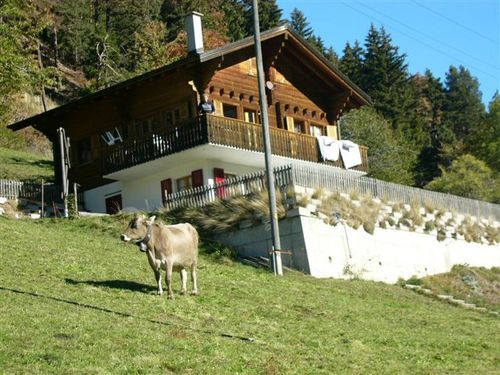 Foto von Ferienwohnung/Brig-Belalp-Simplon