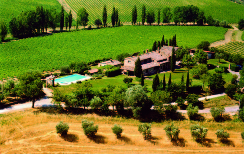 Foto von Weingut-Winzerhof/Siena und Umgebung