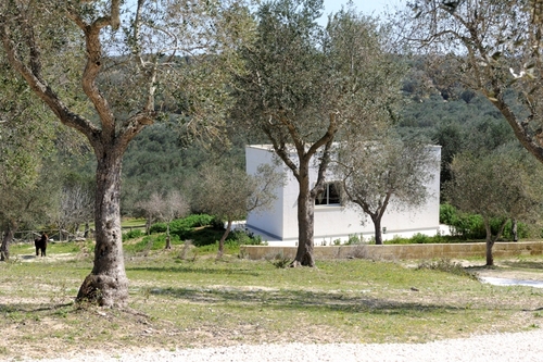 Foto von Ferienhaus/Salento