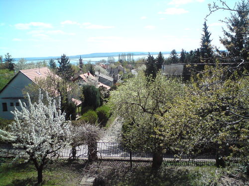 Foto von Gästehaus/Balaton