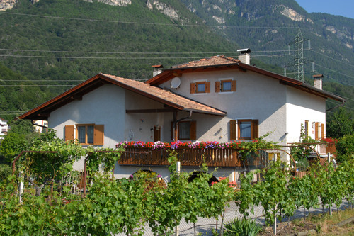 Foto von Weingut-Winzerhof/Weinstrasse-Südtirol