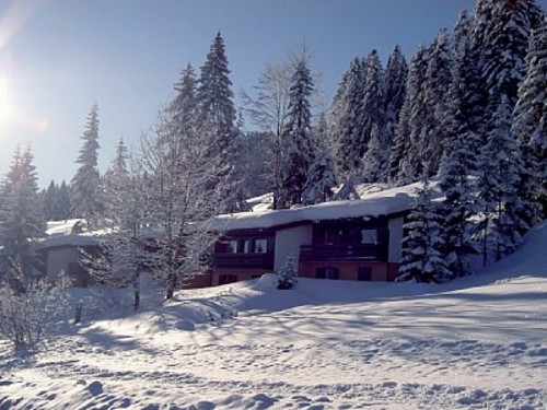 Foto von Berghütte/Dornbirn und Umgebung