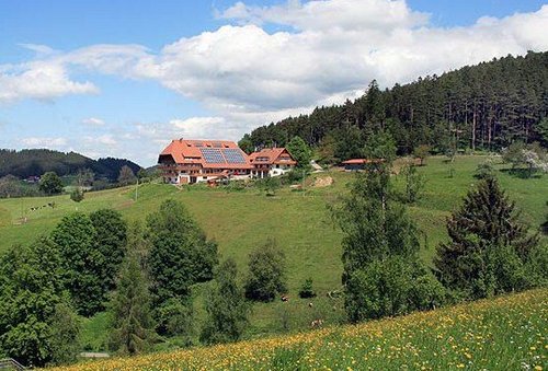 Foto von Bio-Bauernhof/Kinzig-Gutachtal