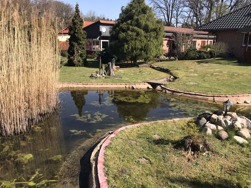 Foto von Ferienhaus/Lüneburger Heide