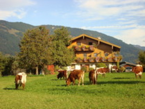Foto von Bio-Bauernhof/Pinzgau