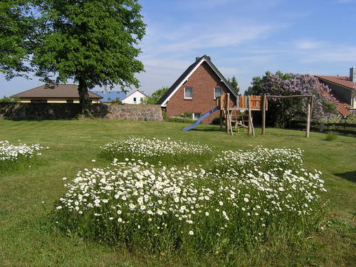 Foto von Bio-Ferienhaus/Inselbäder