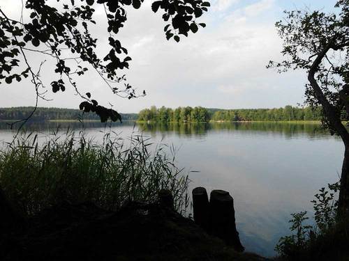Foto von Ferienhaus/Oder-Spree-Seenland
