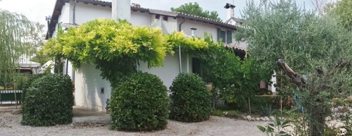 Foto von Bed and Breakfast/Rimini und Umgebung