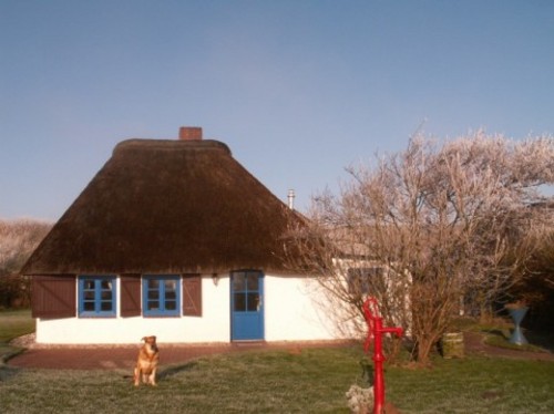 Foto von Bio-Ferienhaus/Eiderstedt, Halbinsel