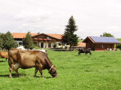 Foto von Bio-Ferienhaus/Ostallgäu