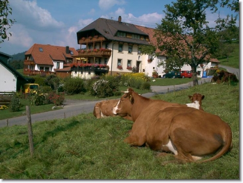 Foto von Ferienwohnung/Breisgau