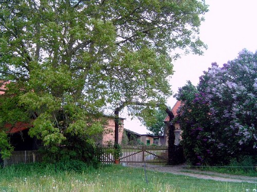 Foto von Bio-Bauernhof/Uckermark