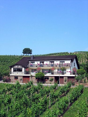 Foto von Weingut-Winzerhof/Untermosel