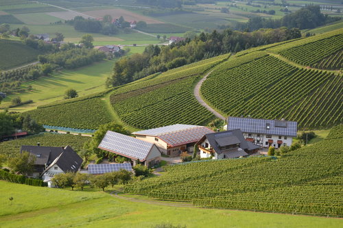 Foto von Ferienwohnung/Ortenau