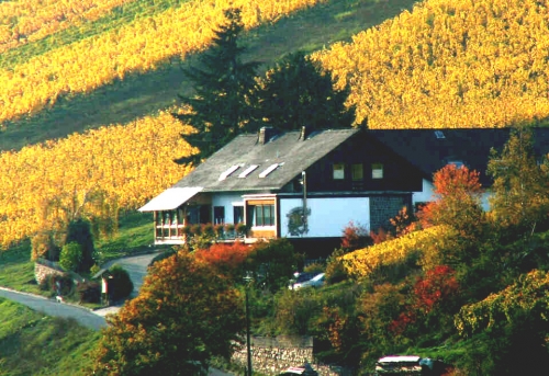 Foto von Gästehaus/Oberes Mittelrheintal