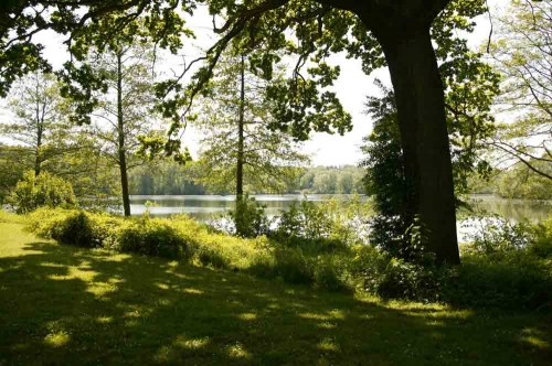 Foto von Ferienwohnung/Lauenburgische Seen