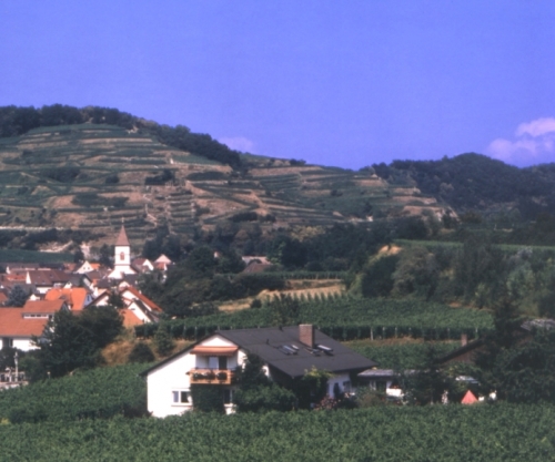 Foto von Weingut-Winzerhof/Kaiserstuhl