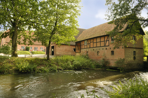 Foto von Reiterhof/Naturschutzpark und Heidekreis