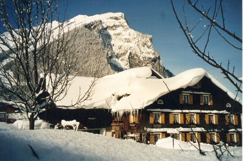 Foto von Bauernhof/Bregenz - Bregenzerwald