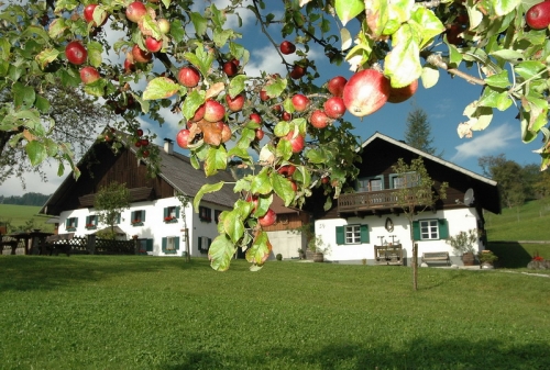 Foto von Ferienwohnung/Attersee