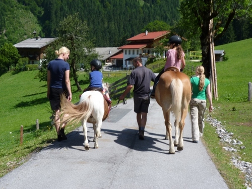 Foto von Bauernhof/Pongau