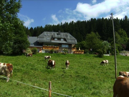 Foto von Ferienwohnung/Feldberg-Titisee