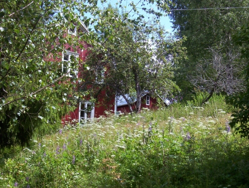 Foto von Ferienhaus/Säffle und Umgebung