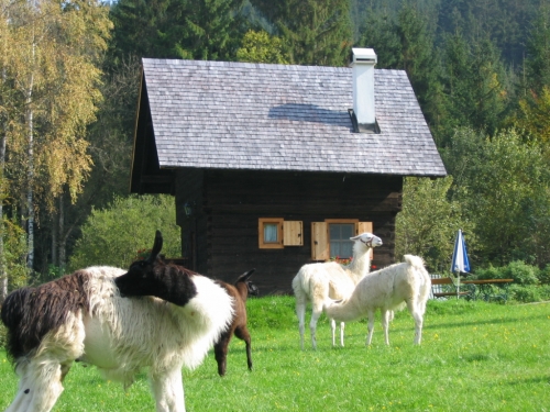 Foto von Ferienhaus/Gurktal - Gurktaler Alpen