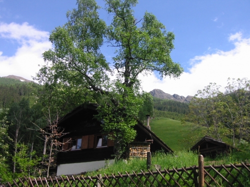 Foto von Berghütte/Hohe Tauern
