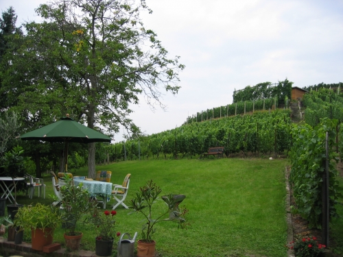 Foto von Weingut-Winzerhof/Dresden und Umland