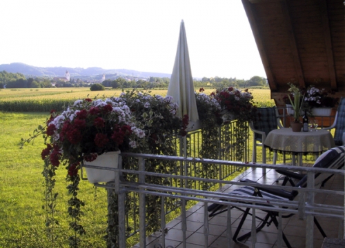 Foto von Ferienwohnung/Kaiserstuhl