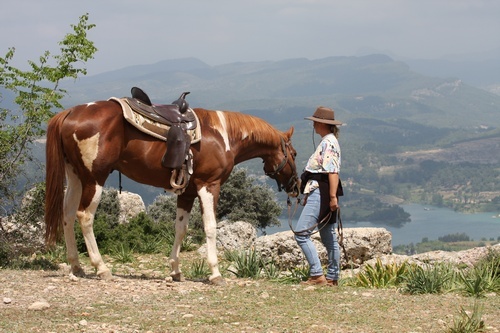 Foto von Reiterhof/Side-Manavgat