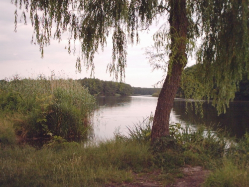 Foto von Ferienhaus/Greifswalder Bodden