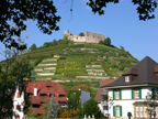 Bresgau