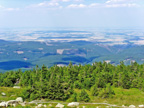 Harz