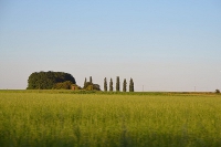 Die Landschaft der Toskana